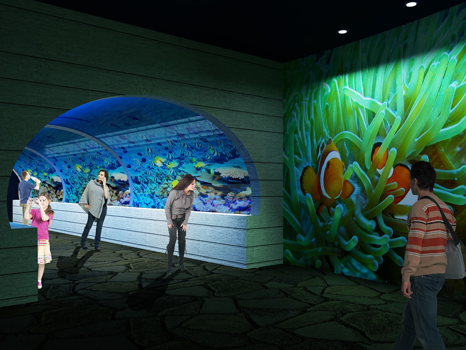 Finding Arizona OdySea Aquarium