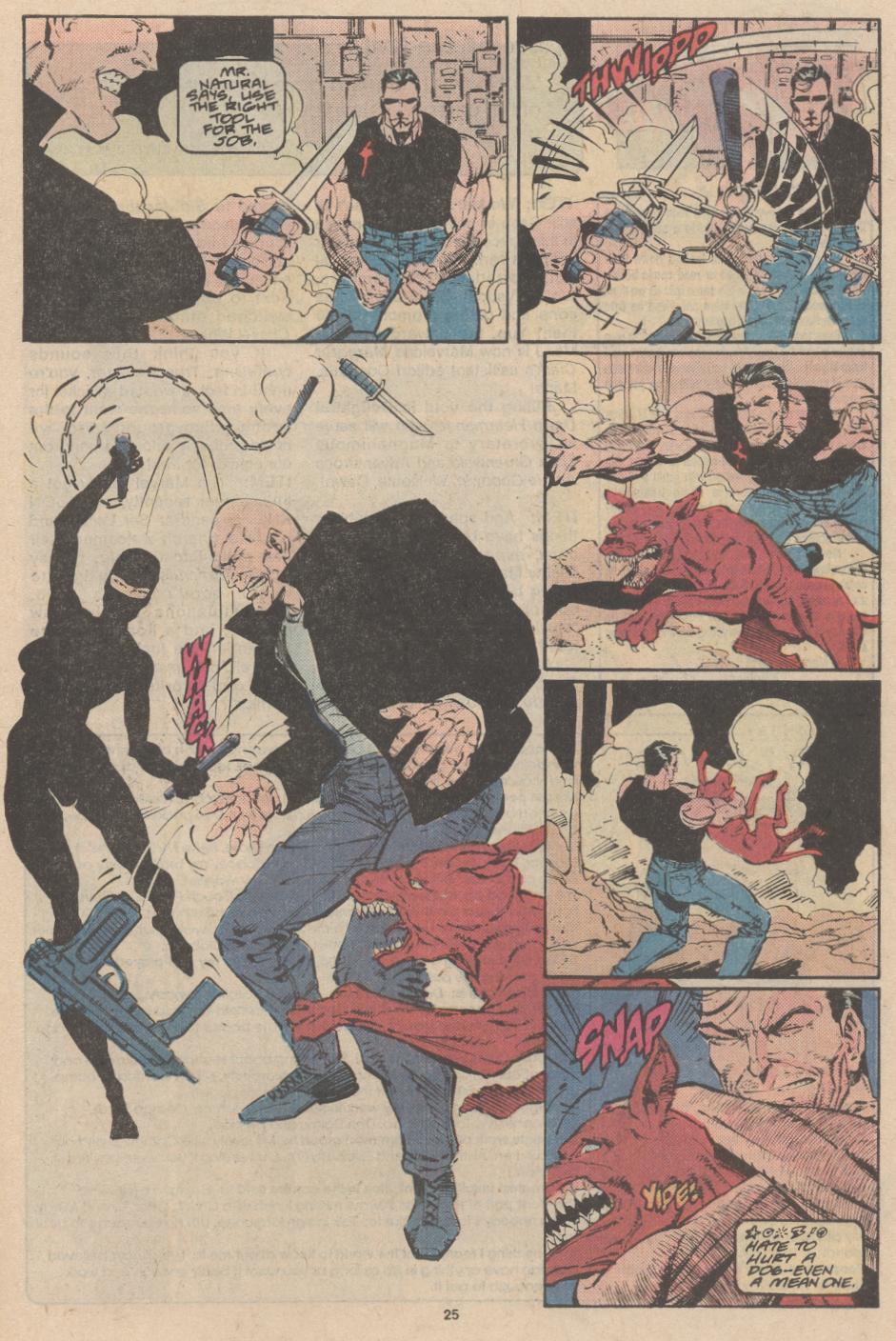 Read online The Punisher (1987) comic -  Issue #23 - Capture the Flag! - 20
