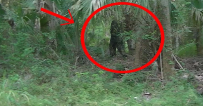 Is this a Picture of a Real Bigfoot?