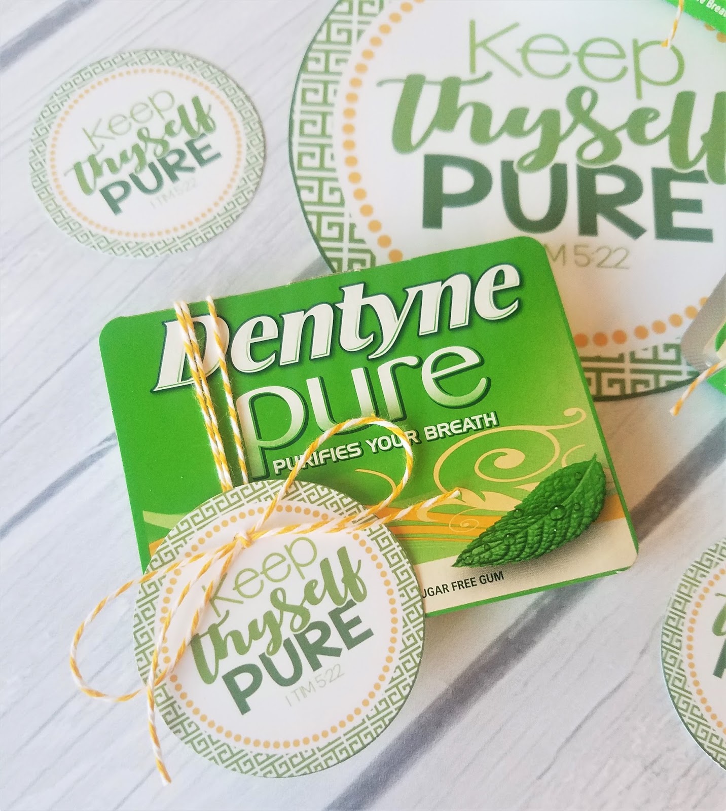 Printable RS Lesson Kit + Handouts Lesson 18! My Computer is My Canvas