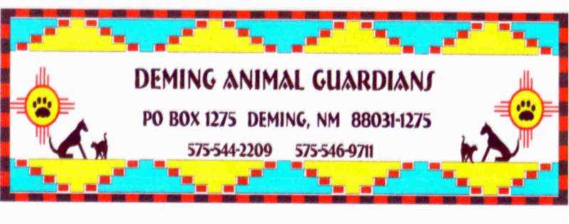 Dog Rescue Homes Uk Dog Rescue Homes Uk