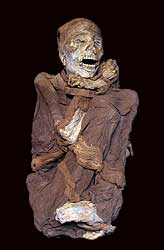 momia leymebamba