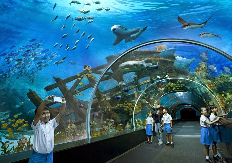 Singapore, The island of Sentosa, is the largest ocean aquarium modernity with a name SEA Aquarium. Included in this giant aquarium park complex "Marine life".