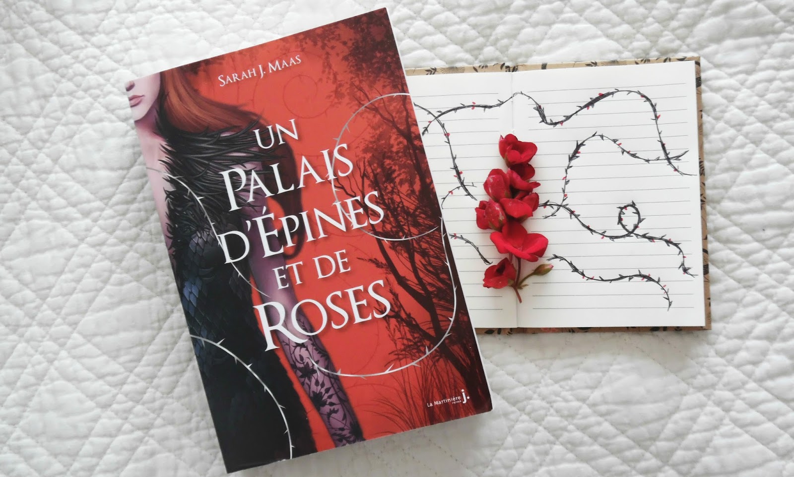 Un palais d'épines et de roses - Des livres et mes envies