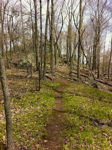 The Menuntuck Trail, Guilford CT