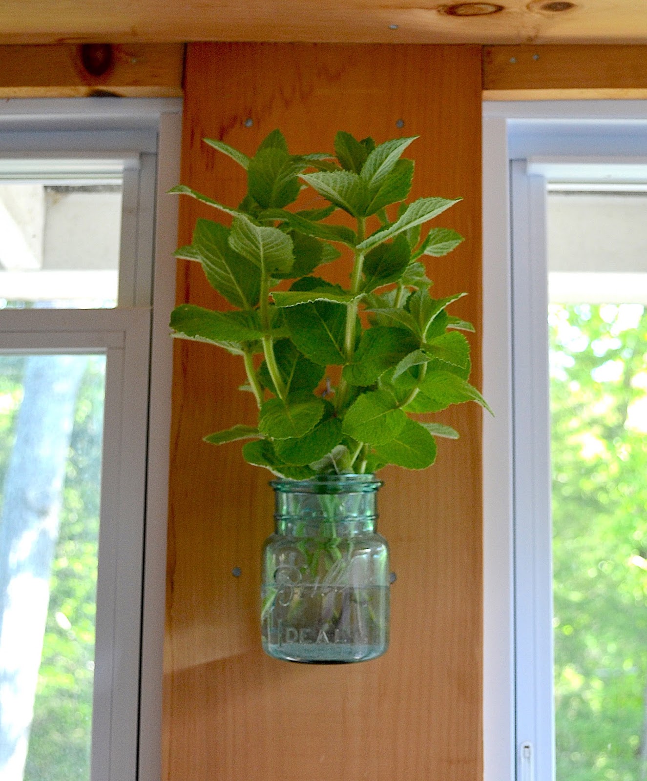DIY Mint Air Freshener