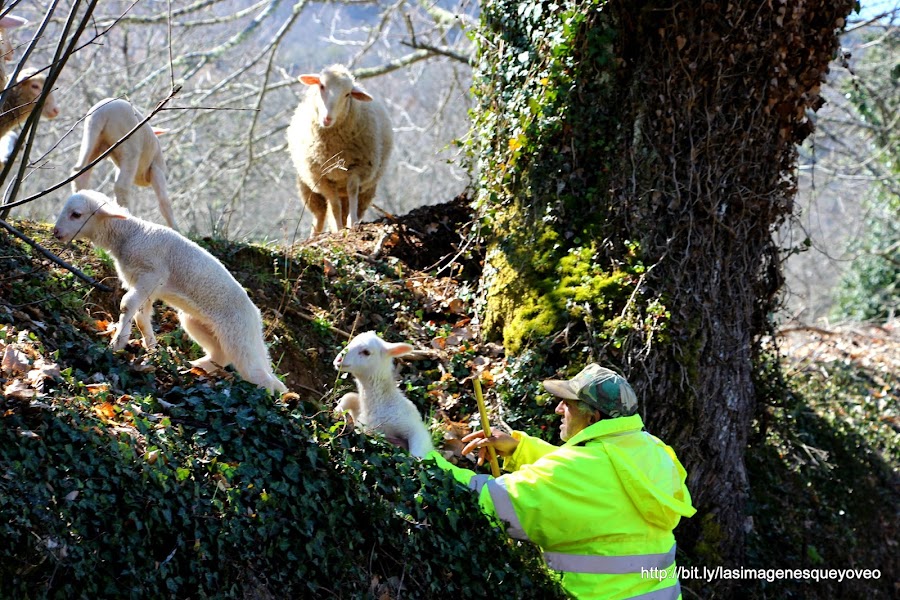 Las Médulas. Ponferrada. León. España