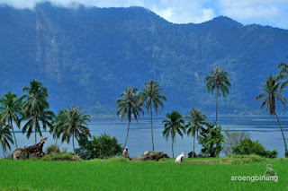 danau maninjau agam