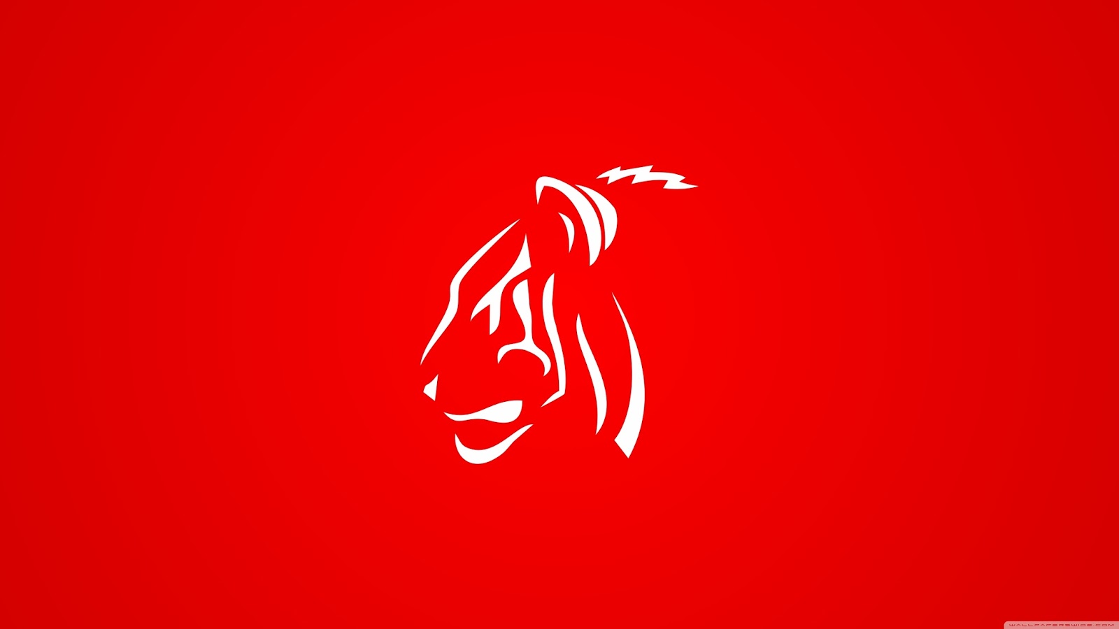 Top Wallpapers Free Download Tiger Vector Wallpaper 4k 3840x2160
