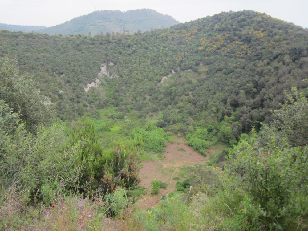 Volcanic Landscapes Monte Nuovo, Campi Flegrei, Italy