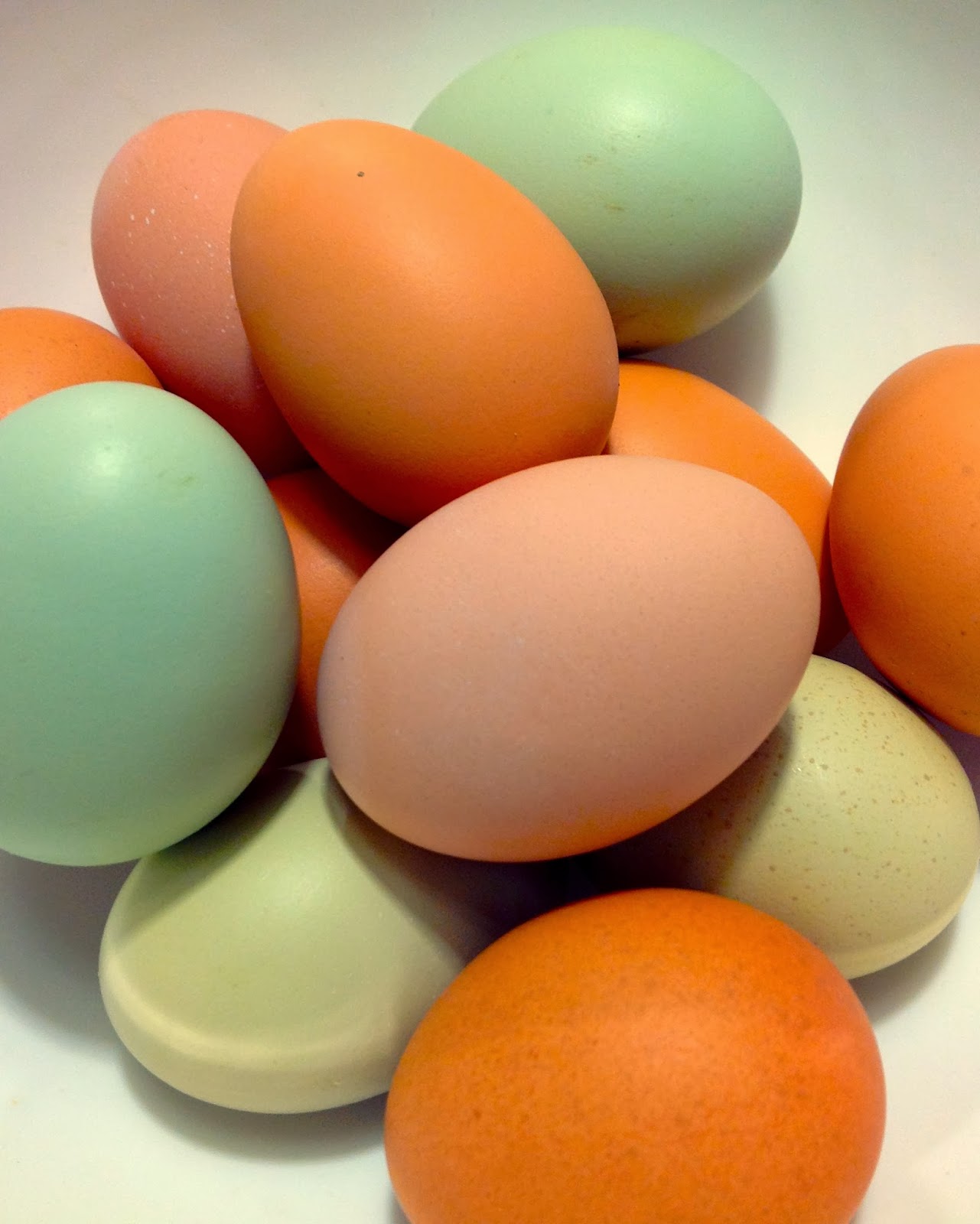 Greg's World on a Plate Rainbow Eggs