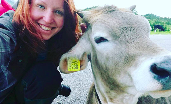 Cow selfie on Sappada mountain, Italy. Photo by Alicia Sivertsson.