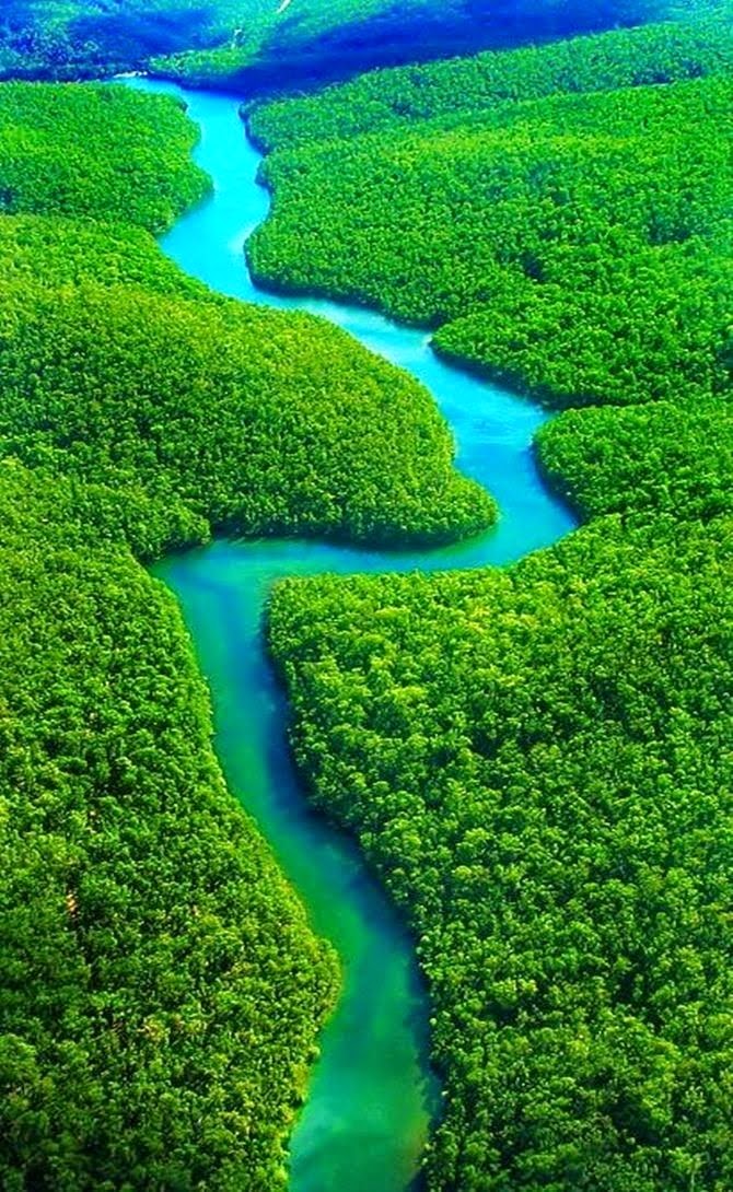 The 10 Best Amazon River Cruise Tours 2021/2022 - TourRadar