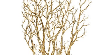 Copycat - ZGallerie Branches in Pot | Life and Linda