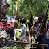 Xenophobic Attack: Niger Delta Militants Threaten To Shutdown MTN, DSTV, Others