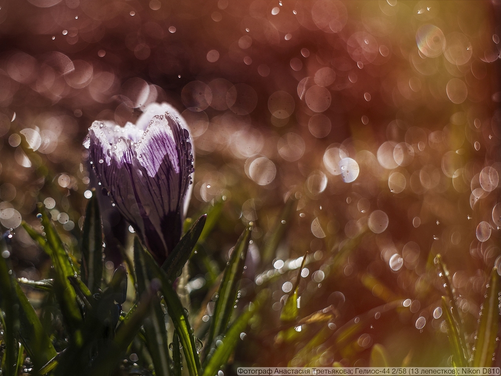 Гелиос-44 2/58