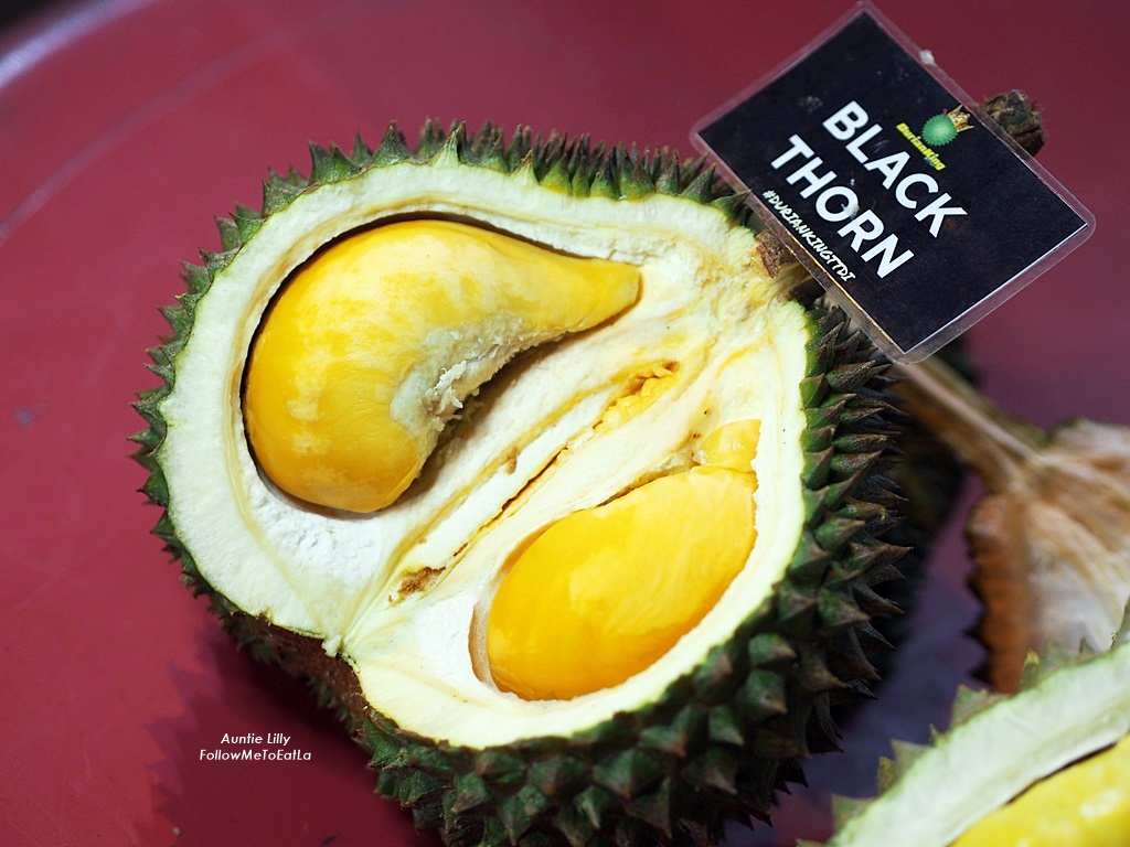 Durian black thorn harga