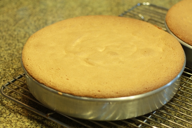 torta esponja cocinada en un molde redondo