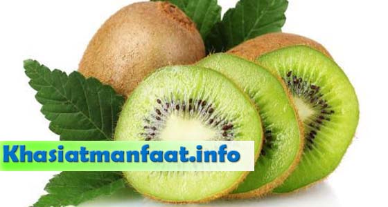 Khasiat dan Manfaat Buah Kiwi Khasiat dan Manfaat Buah Kiwi