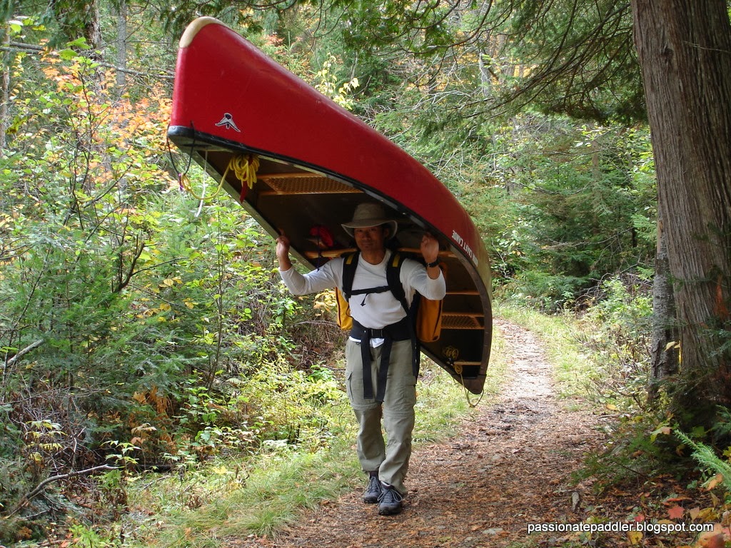 The Passionate Paddler Getting Familiar With A Dog On A Canoe Trip