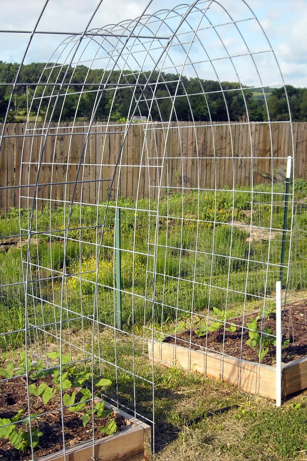 The Best Trellis Designs Organic_Gardening My Favorite Things