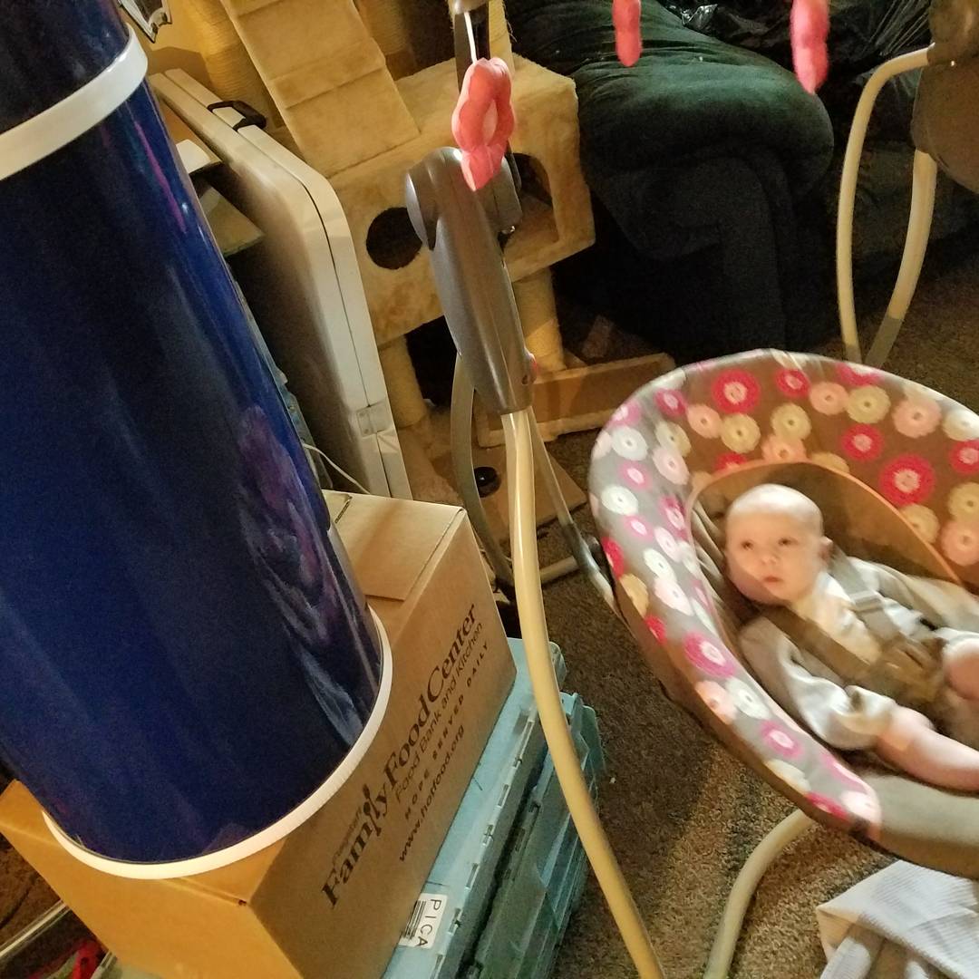 Amber Allen Reviews Bubula Diaper Pail Review