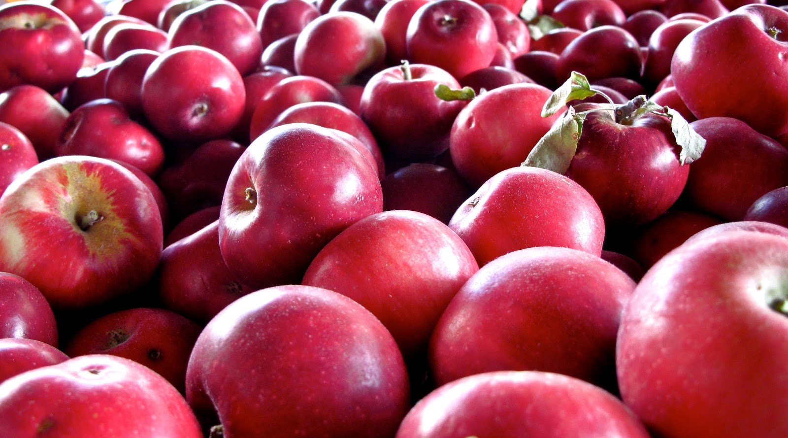 Stirway to heaven 15 Foods that Benefit Your Liver