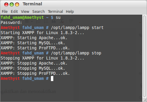XAMPP Linux Start & Stop XAMPP Linux Start & Stop