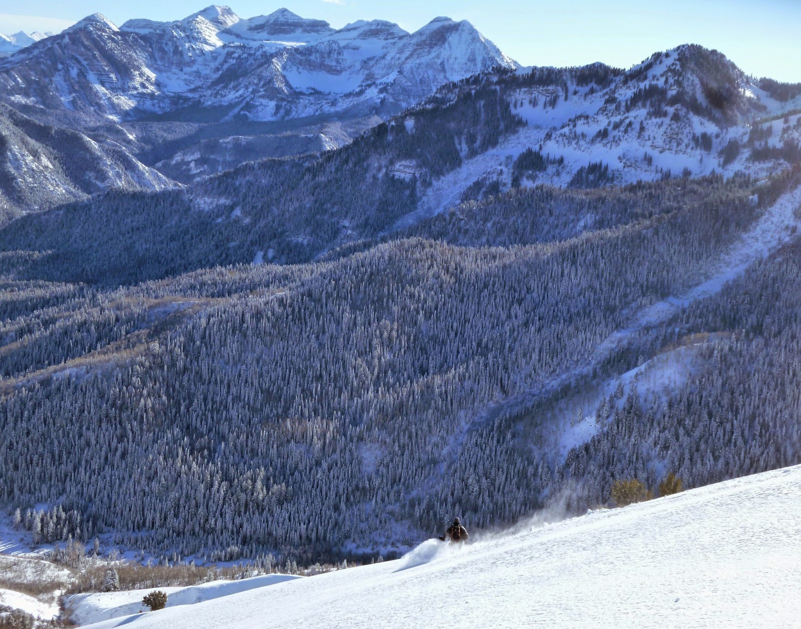 Primomo.Blogspot: Long Live American Fork Canyon!