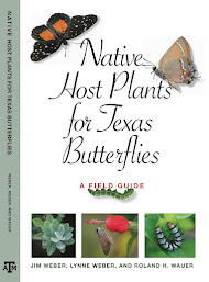 Native Host Plants for Texas Butterflies