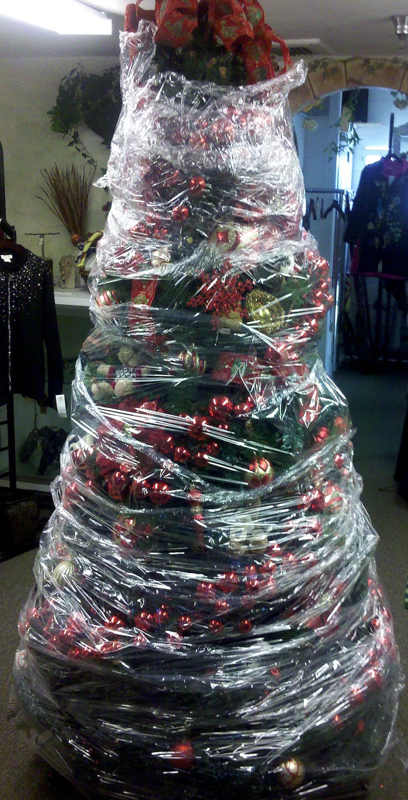 F ( STOP ) Oh, Saran Wrapped Tree, Oh, Saran Wrapped Tree