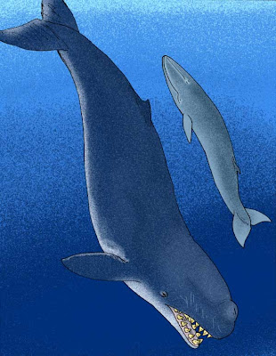 ballena prehistorica gigante Livyatan