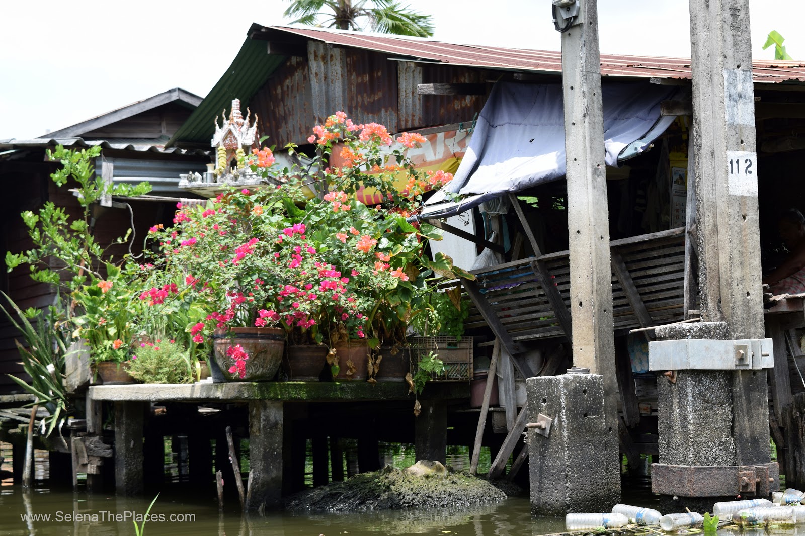 Bangkok Lotus Farm