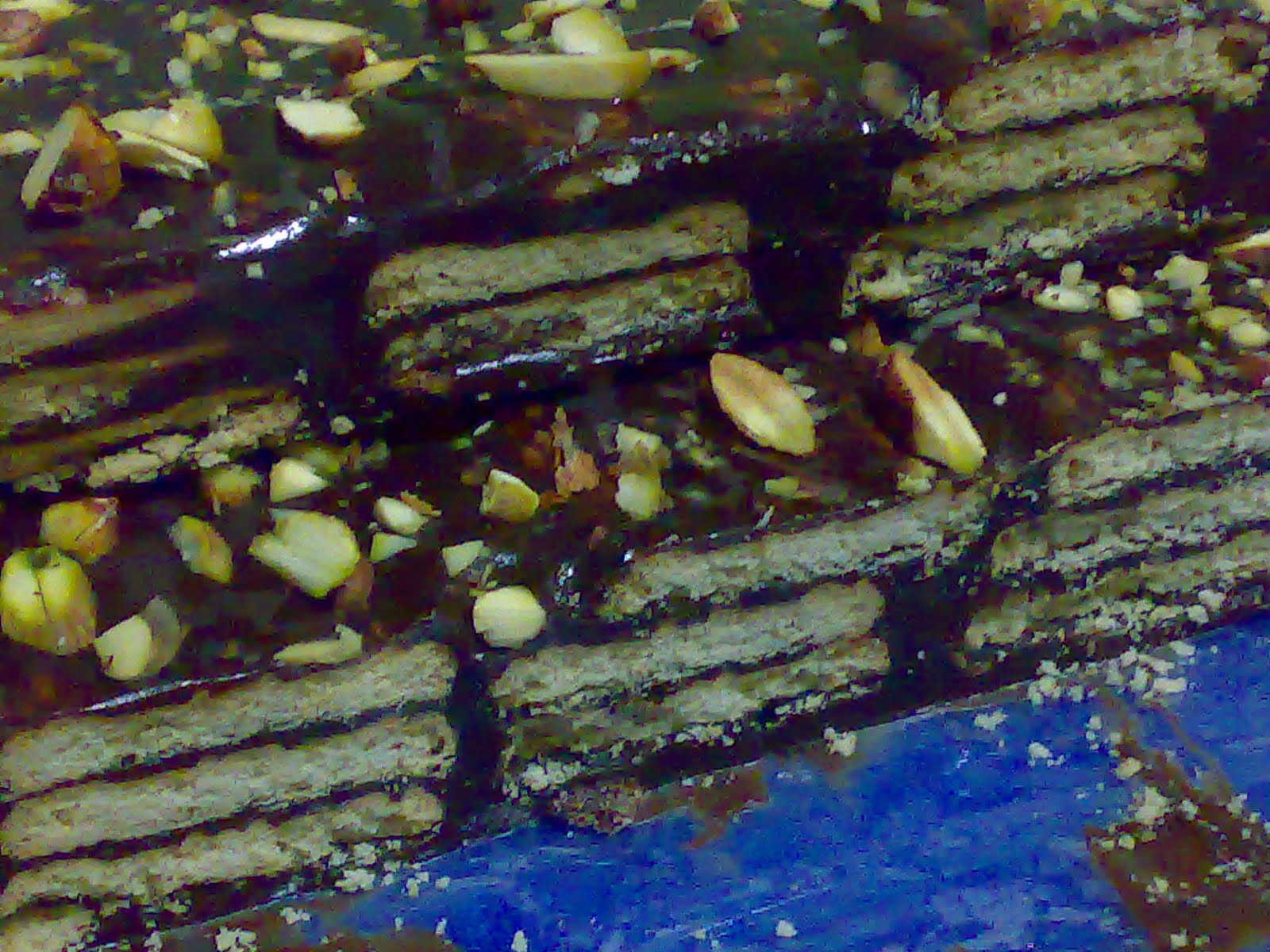 Kek Batik Tiger  Fazian.Batrisyia