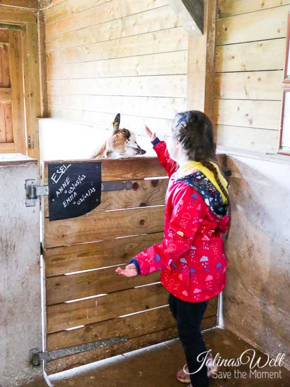 Jolinas Welt Centerparcs Bostalsee Unser Premium Ferienhaus Fur