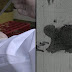 Η διαδικασία ταυτοποίησης των οστών των πεσόντων του '40 στο Κέντρο Μοριακής Βιολογίας των Ενόπλων Δυνάμεων (βίντεο) 
