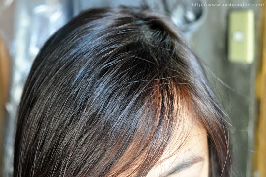 LBD & ONESIES - A Lifestyle Blog: Revlon Colorsilk Medium Ash Brown (40)  Review