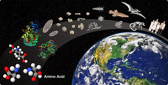 Image result for earth evolution