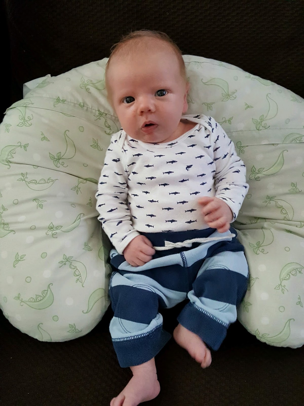 Nully Baby Blog: Andrew: 1 Month