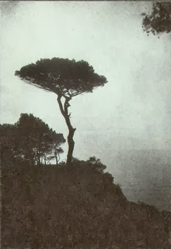 Stereosc2pe + | In the places that we’ve been broken |  Ernest Hemingway