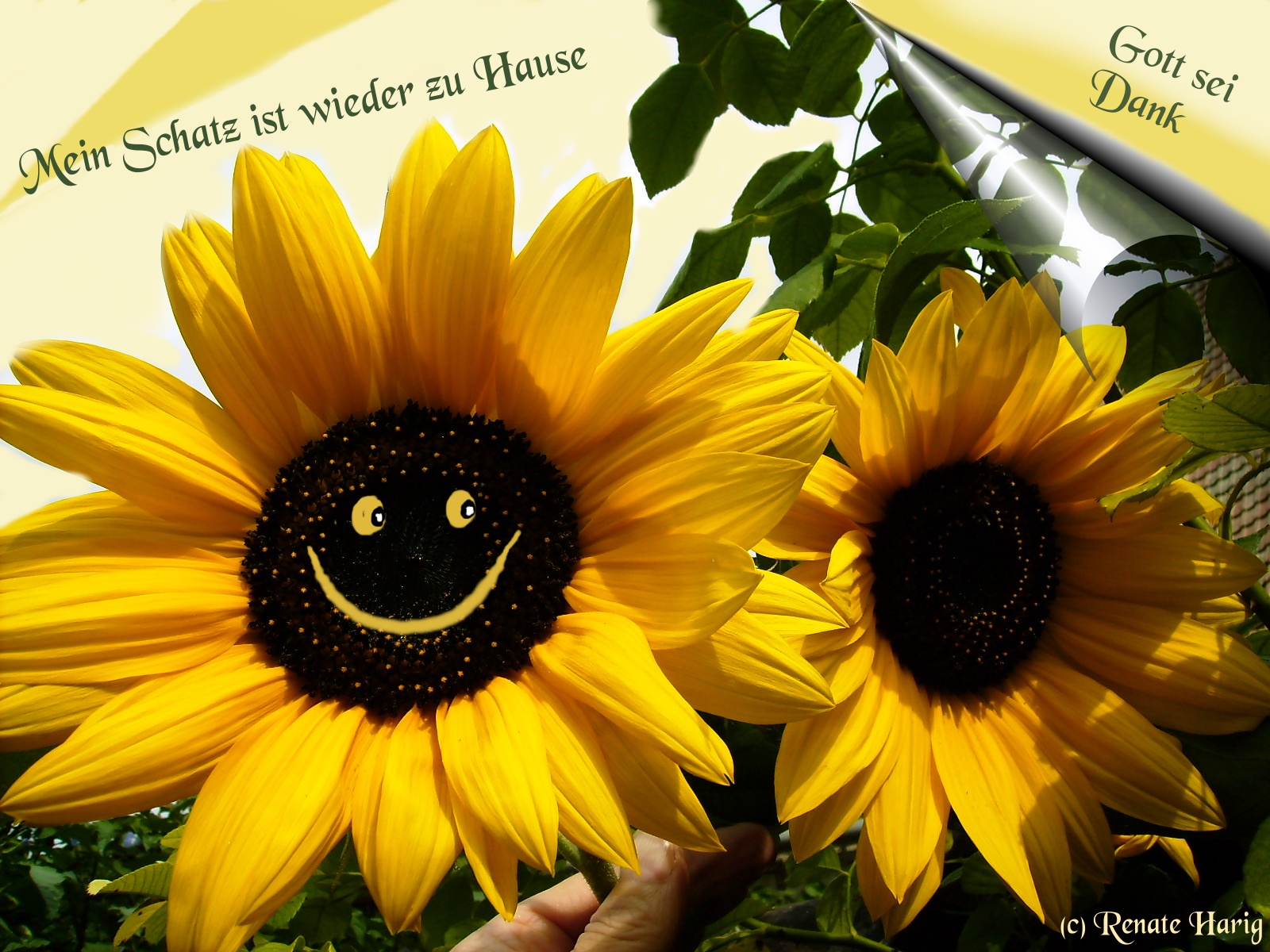 Willkommen in Renates Eckchen Willkommen DAHEIM