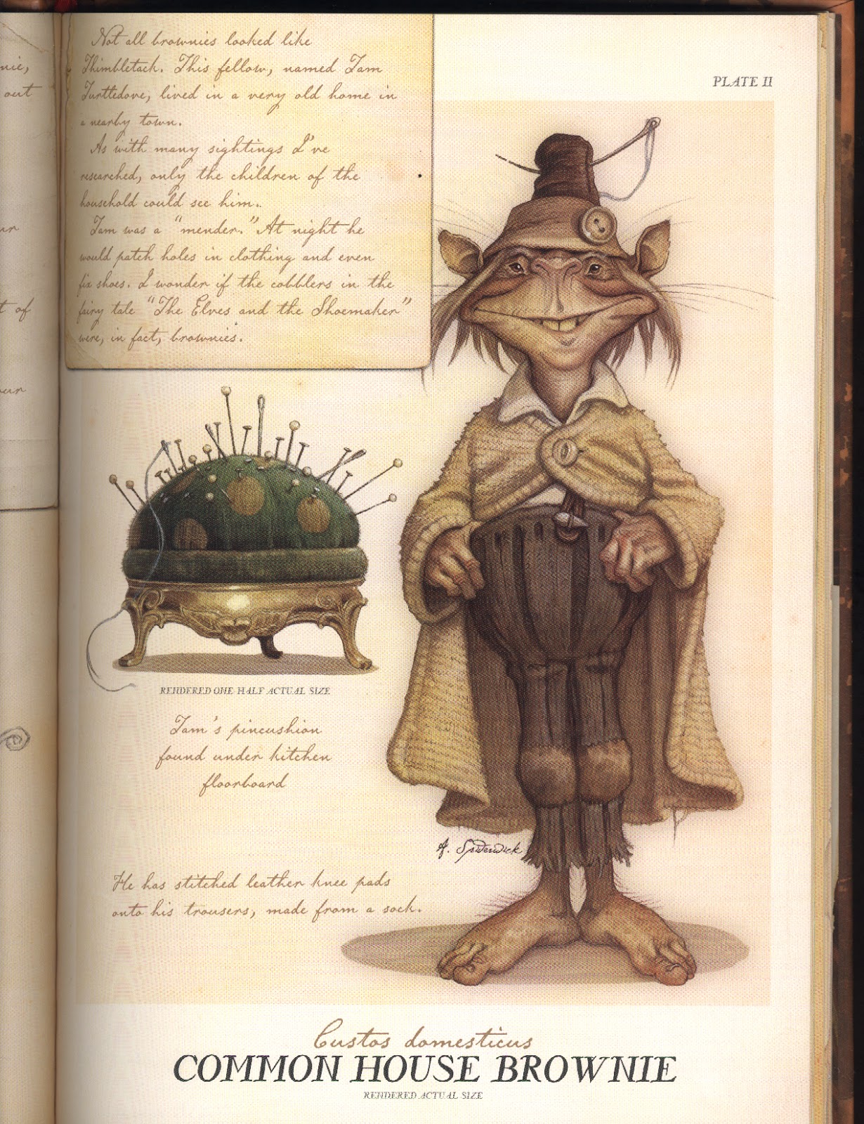 My Little Occult Shop Brownie (folklore)