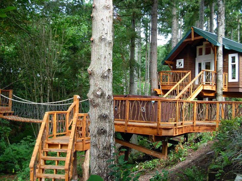 USA - 10 Of The Wildest Tree House Locations