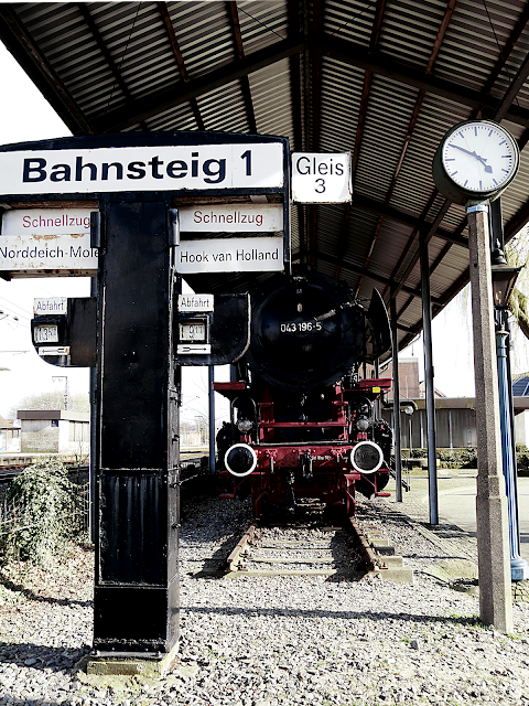 Der Ranunculus Rotalis Bus Blog Oster Tour 2012