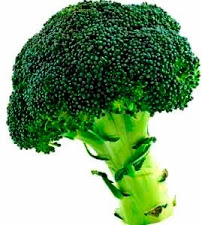 Brócoli Foto del brócoli, hortaliza color verde
