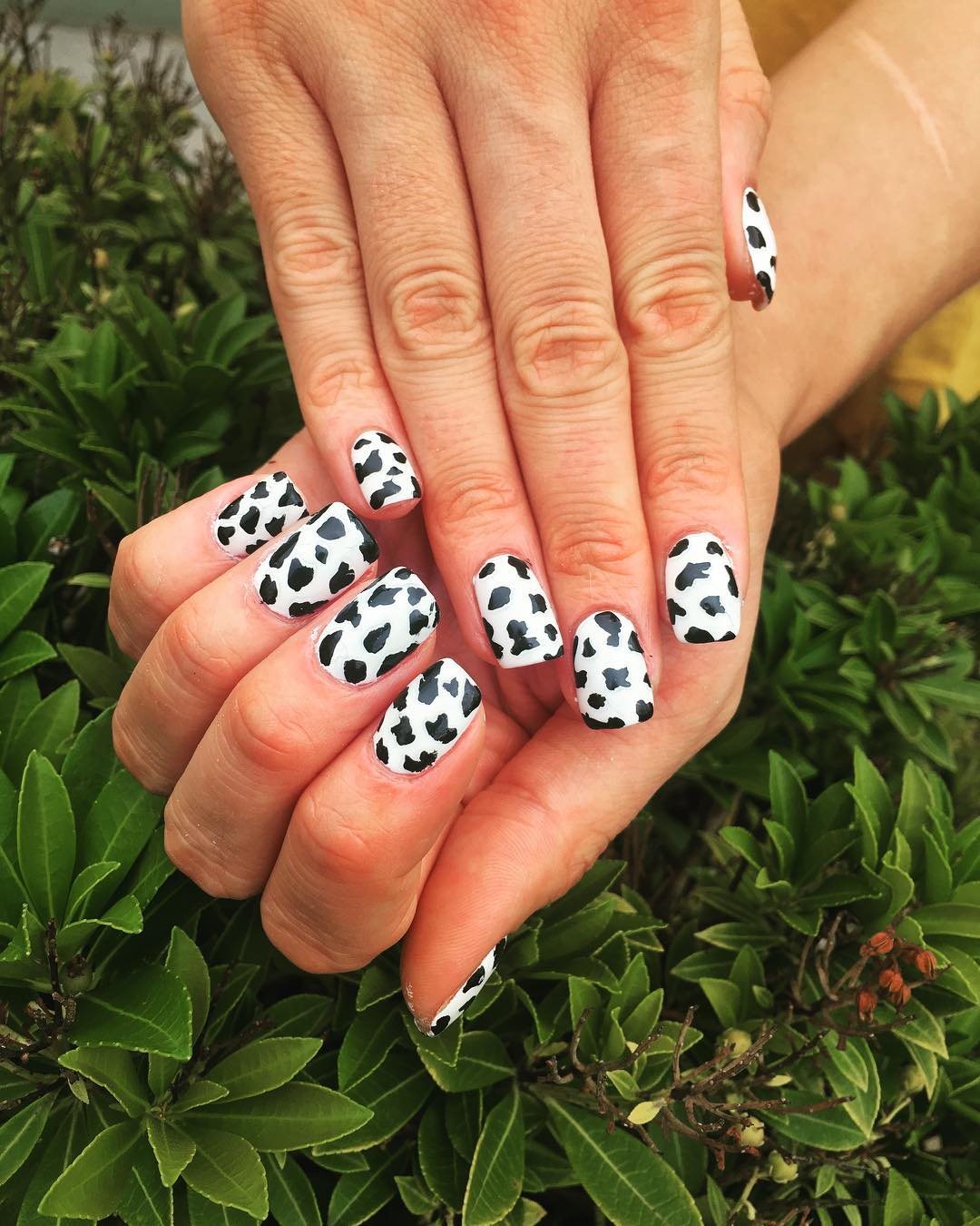 Brown cow stunning: Cow print nail art is officially the hottest Instagram  trend