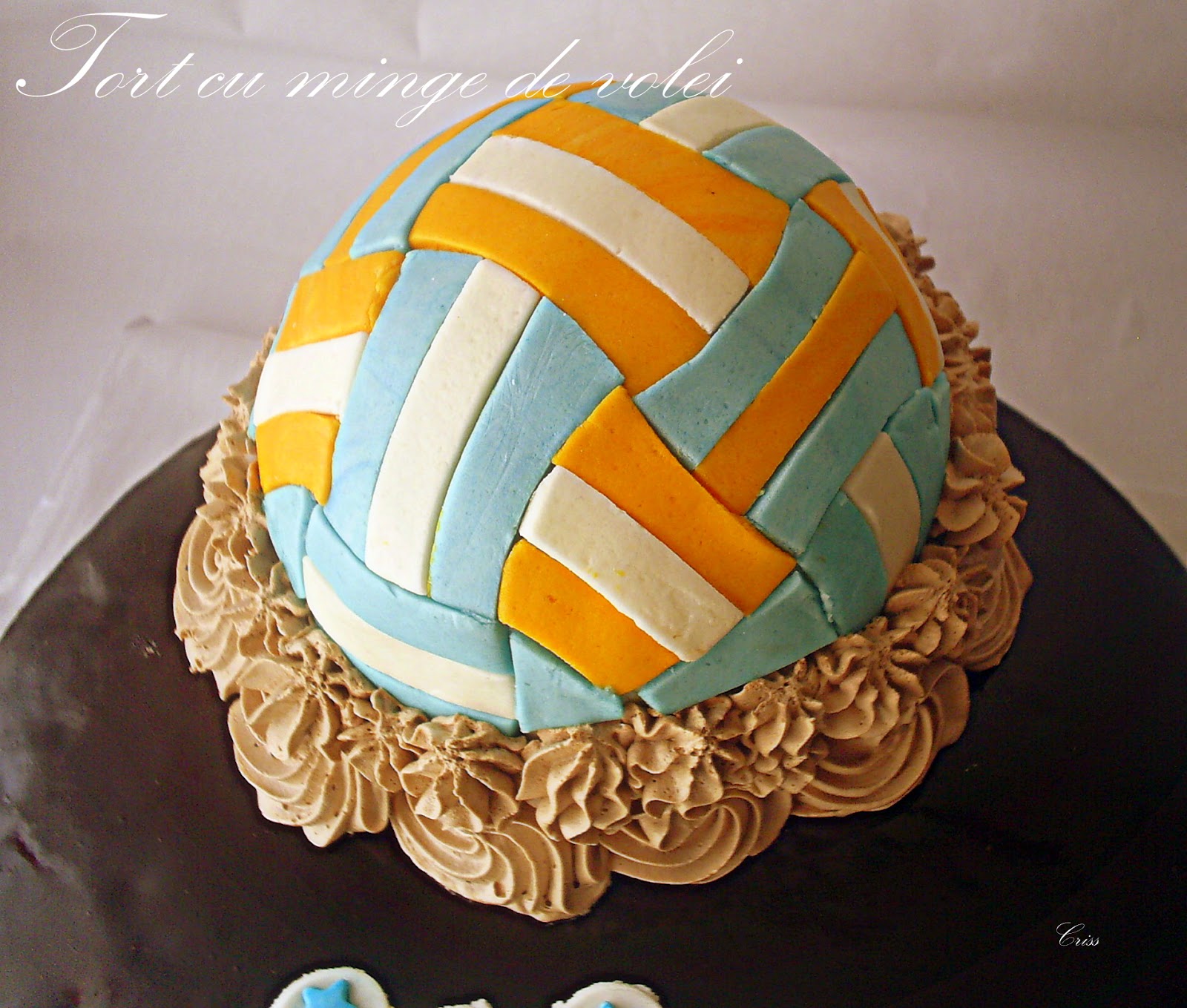 Arome Si Culori Tort Cu Minge De Volei