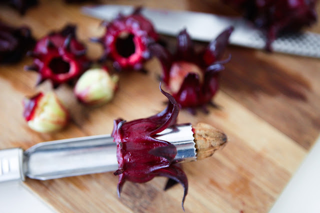 Fresh Hibiscus Kombucha Tea