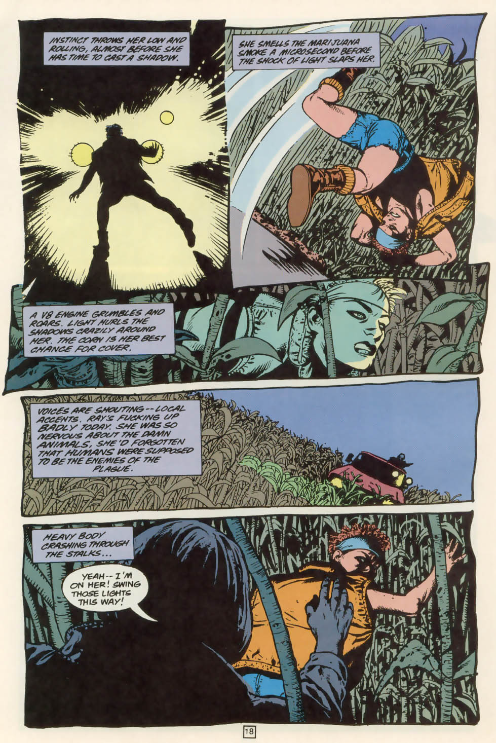 Read online Animal Man (1988) comic -  Issue #76 - 19