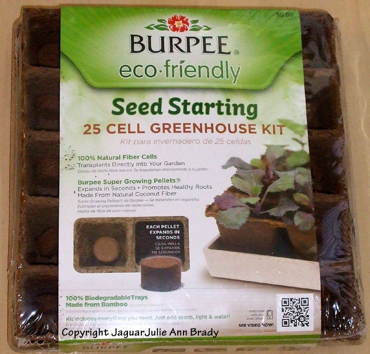 Julie Ann Brady Blog On Starting Sunflower Seeds for a Flower Garden